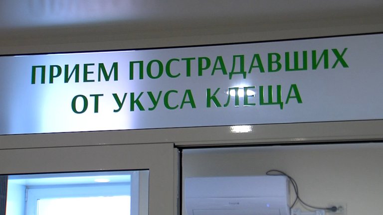 Почти две тысячи детей пострадали от укусов клещей в Иркутской области в этом году