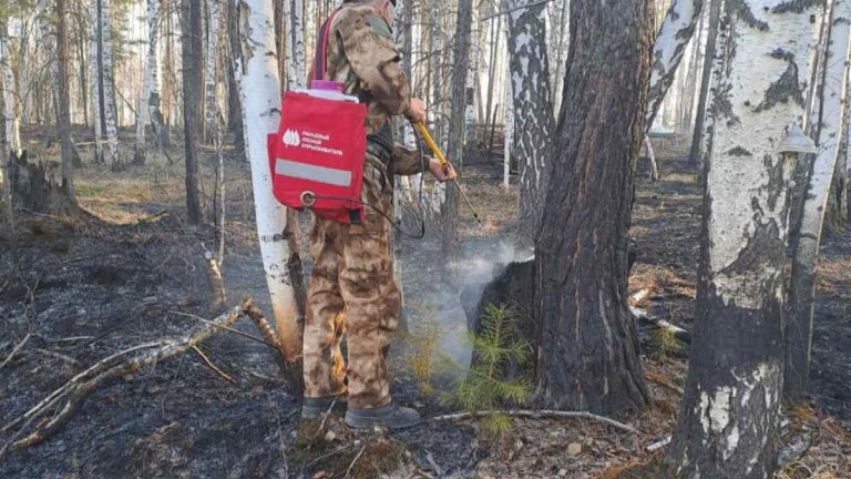 12 пожаров потушили в лесах Иркутской области