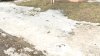 Со сходом снега на газонах и тротуарах Иркутска обнажаются следы выгула собак